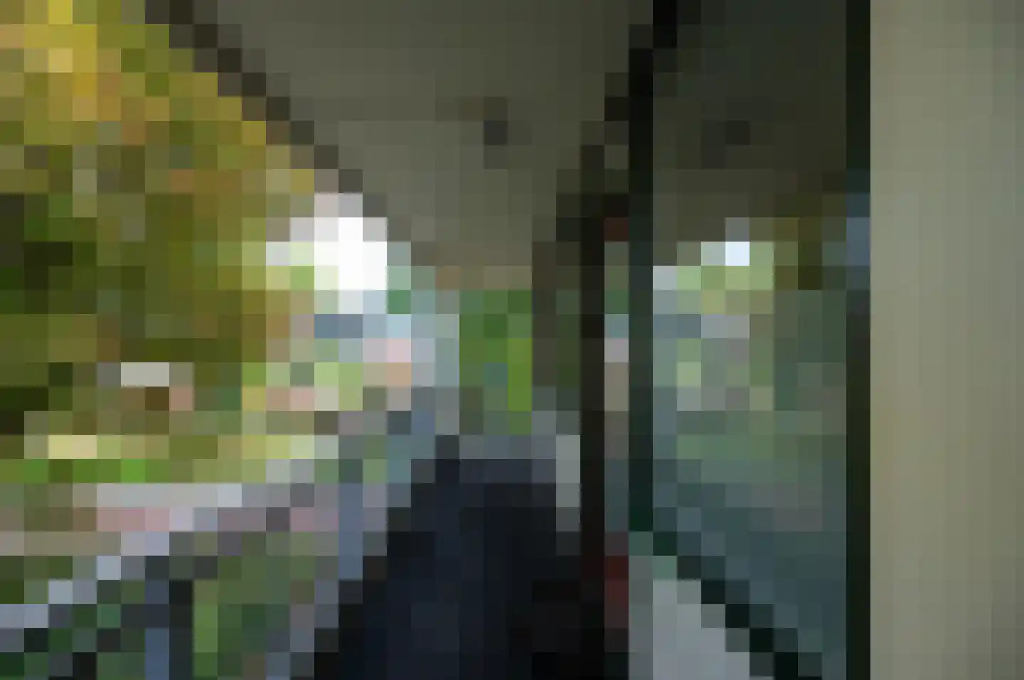 Fazantenkamp 687 Maarssen thumbnail 11