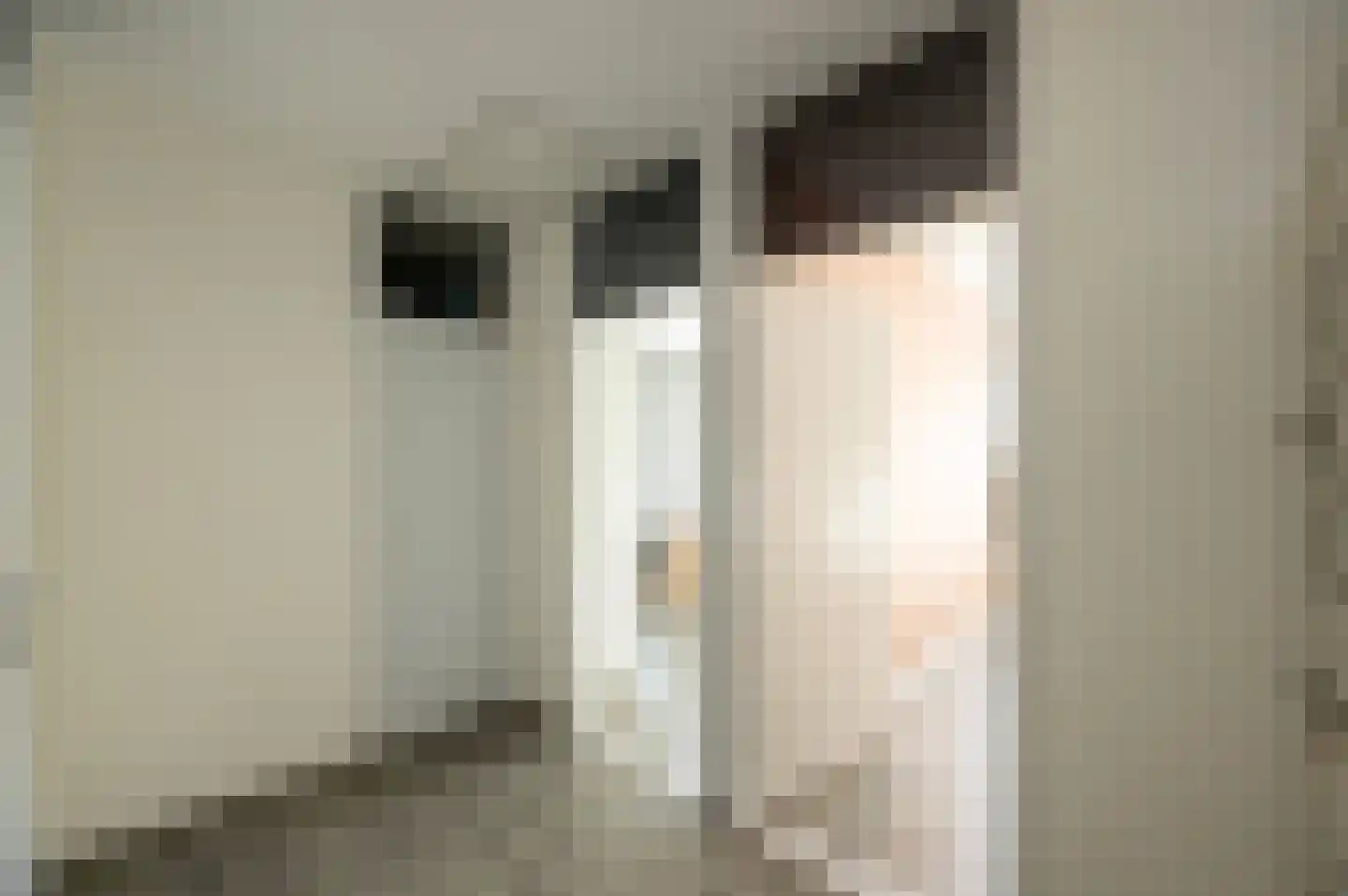 Fazantenkamp 687 Maarssen thumbnail 34
