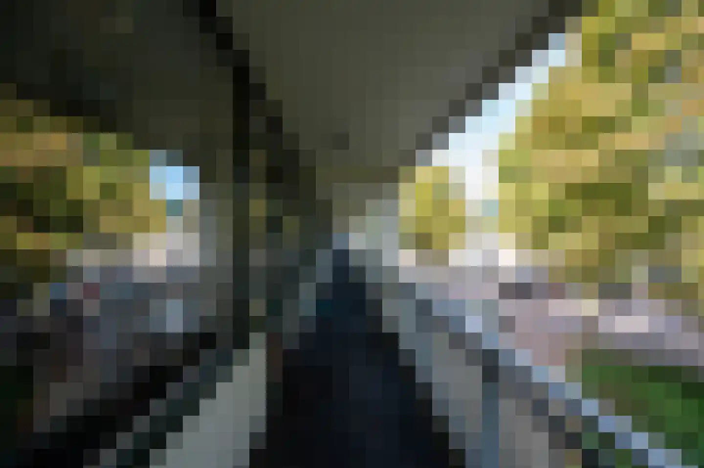 Fazantenkamp 687 Maarssen thumbnail 39