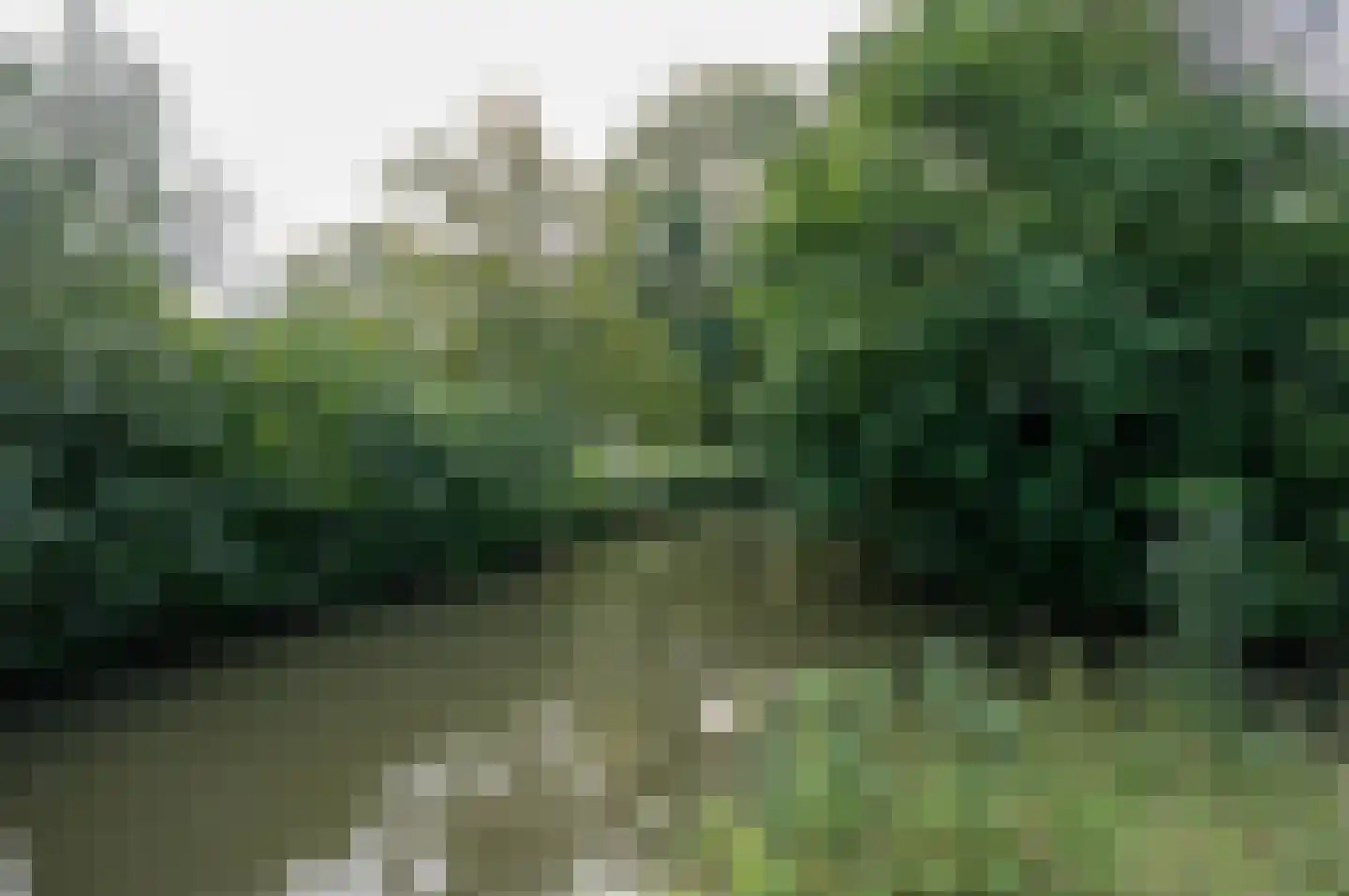 Fazantenkamp 687 Maarssen thumbnail 47