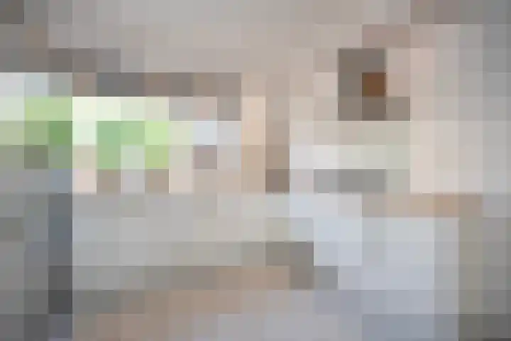 Fazantenkamp 721 Maarssen thumbnail 10