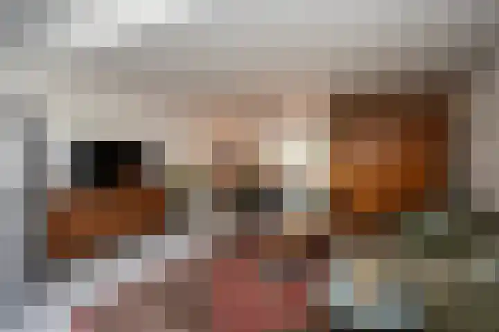 Fazantenkamp 721 Maarssen thumbnail 18