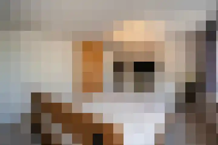 Fazantenkamp 721 Maarssen thumbnail 21