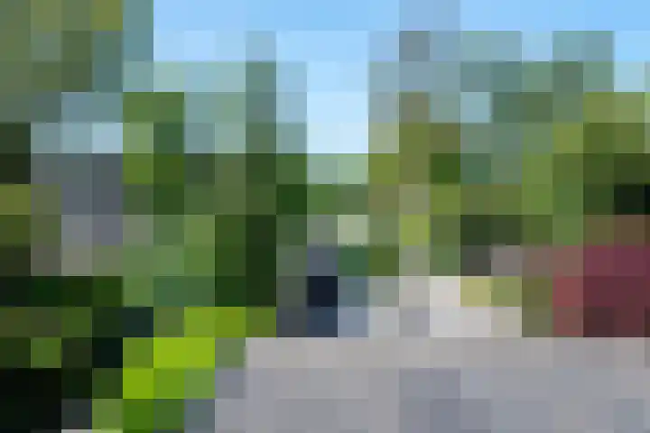 Fazantenkamp 721 Maarssen thumbnail 22