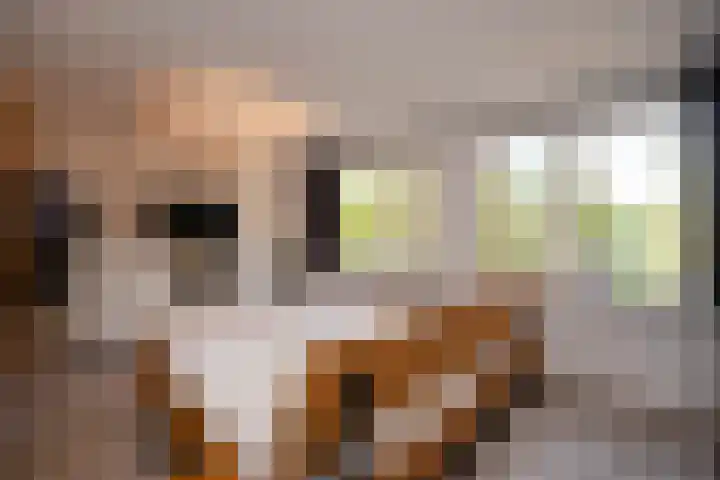 Fazantenkamp 721 Maarssen thumbnail 23