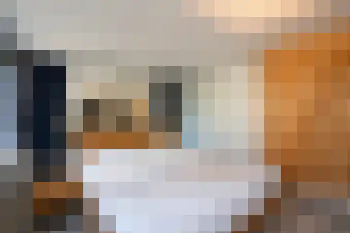 Fazantenkamp 721 Maarssen thumbnail 24