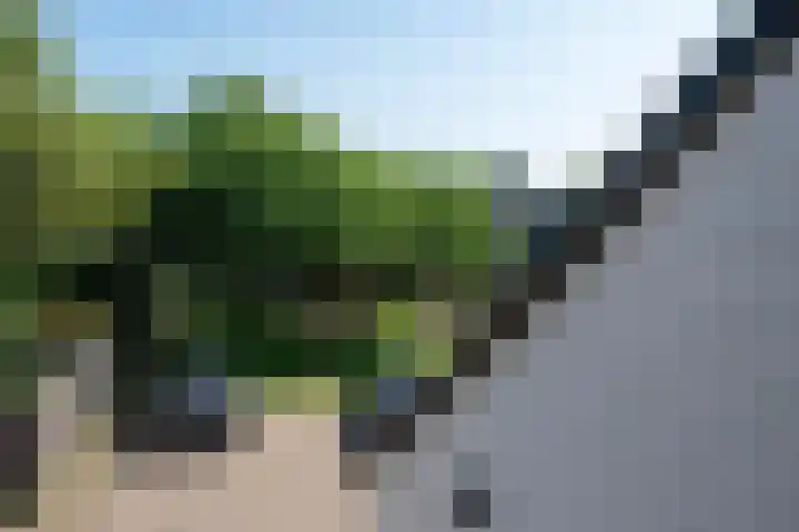 Fazantenkamp 721 Maarssen thumbnail 27
