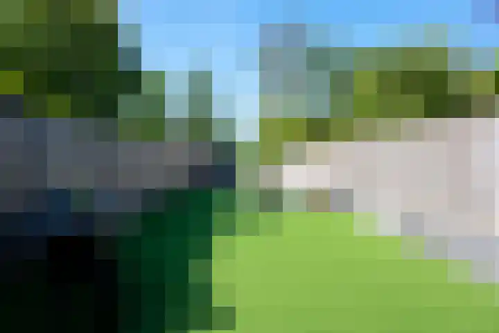 Fazantenkamp 721 Maarssen thumbnail 40