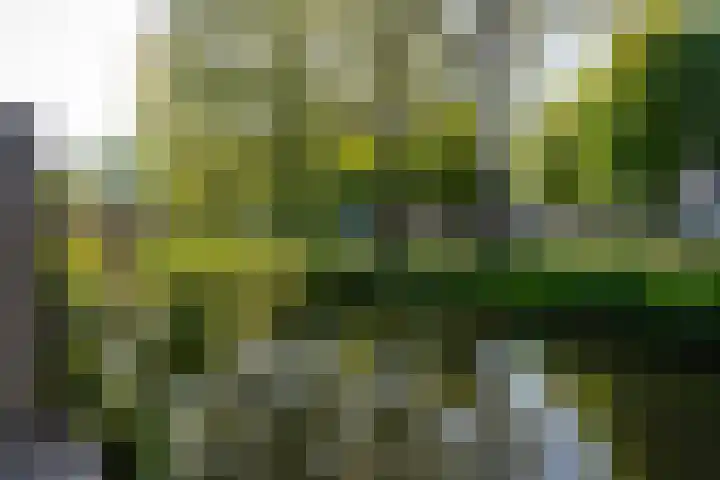 Fazantenkamp 721 Maarssen thumbnail 45