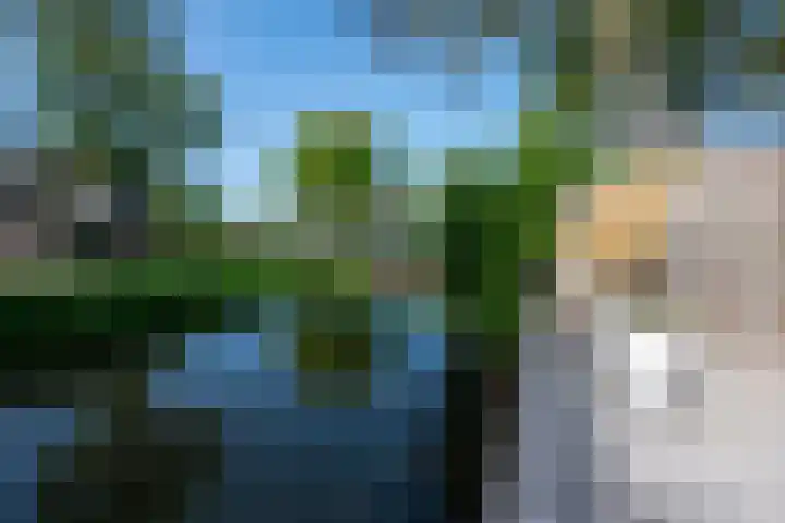 Fazantenkamp 721 Maarssen thumbnail 46