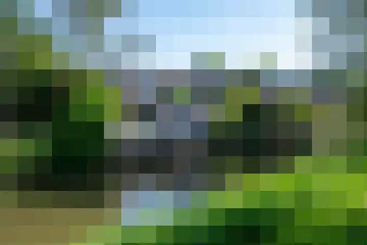 Fazantenkamp 721 Maarssen thumbnail 48