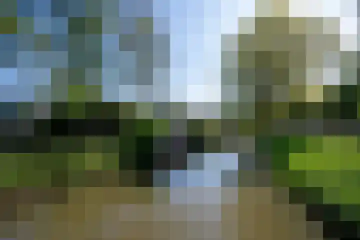Fazantenkamp 721 Maarssen thumbnail 49