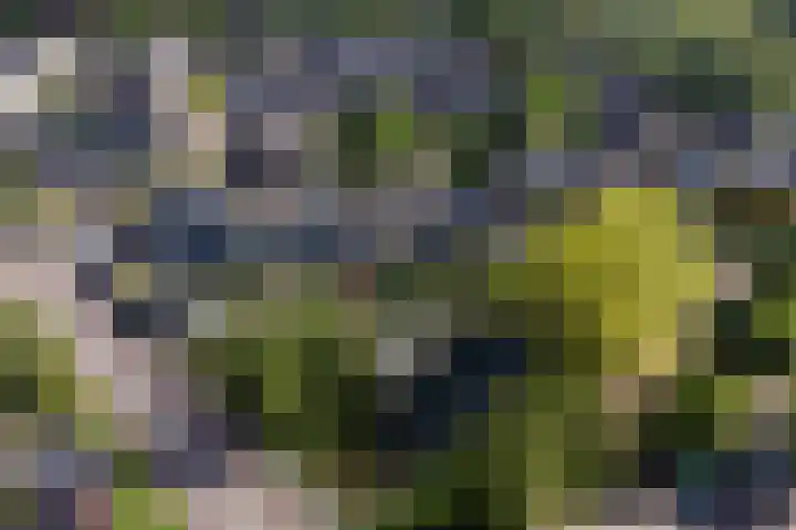 Fazantenkamp 721 Maarssen thumbnail 51