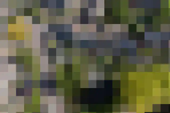 Fazantenkamp 721 Maarssen thumbnail 52