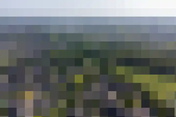 Fazantenkamp 721 Maarssen thumbnail 53