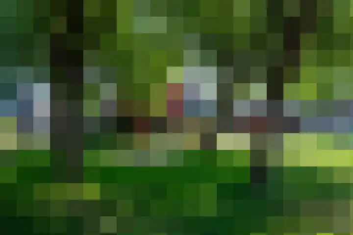 Fazantenkamp 721 Maarssen thumbnail 54