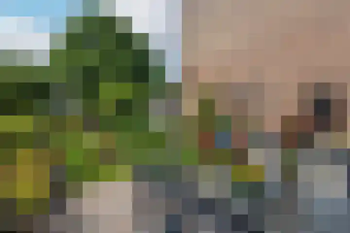 Fazantenkamp 727 Maarssen thumbnail 31