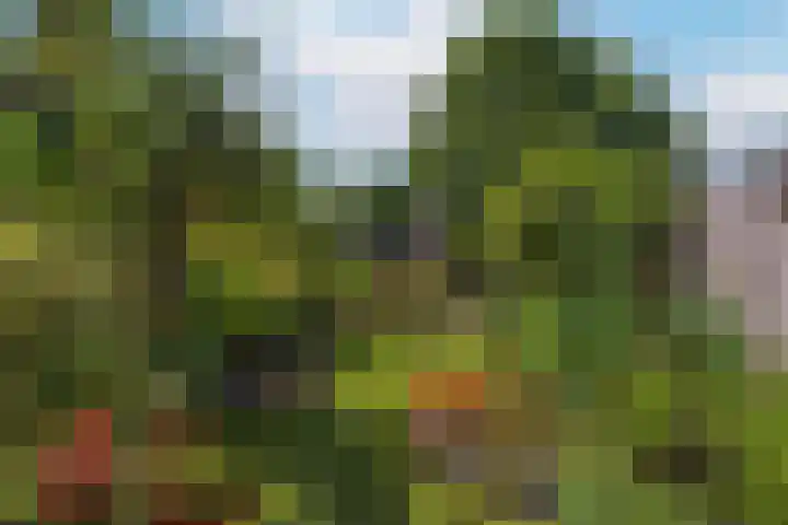 Fazantenkamp 727 Maarssen thumbnail 33