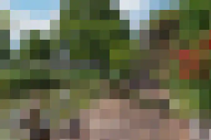 Fazantenkamp 727 Maarssen thumbnail 34