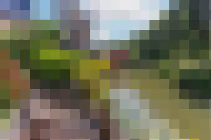 Fazantenkamp 727 Maarssen thumbnail 35