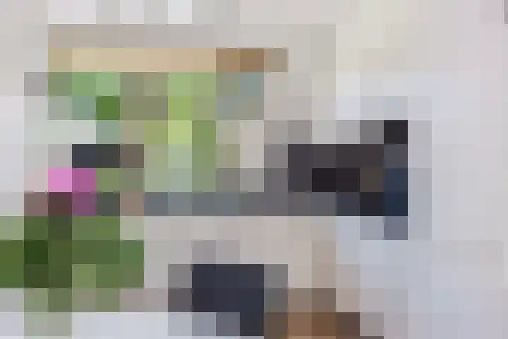 Fazantenkamp 727 Maarssen thumbnail 4