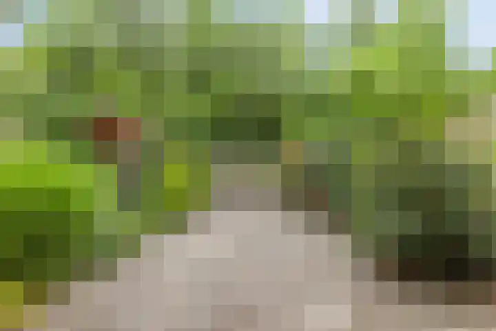 Fazantenkamp 745 Maarssen thumbnail 25