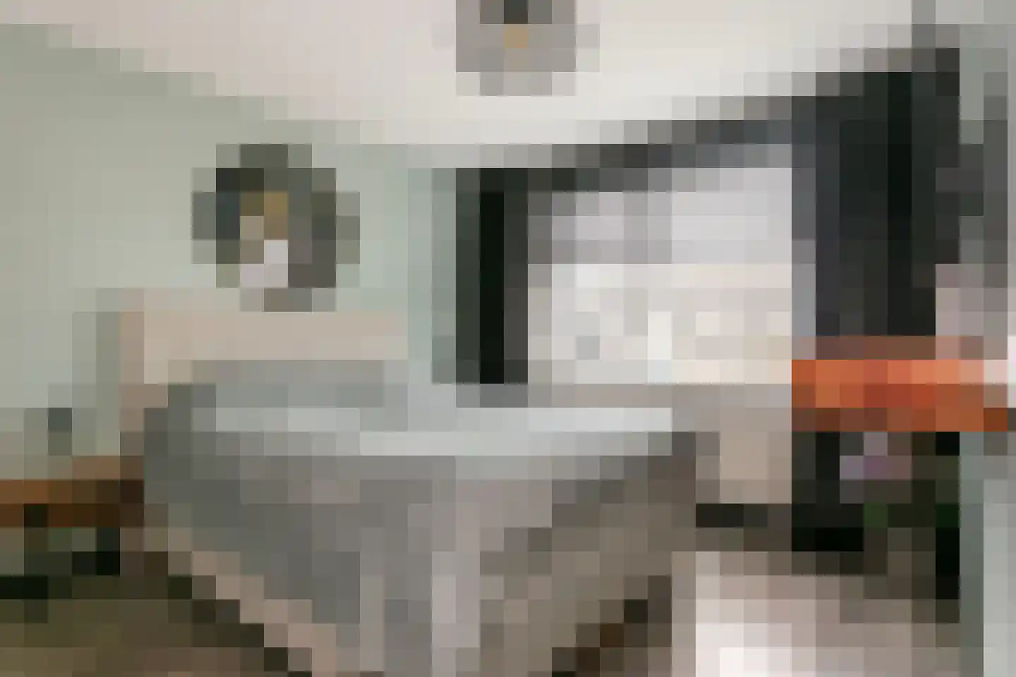 Fazantenkamp 755 Maarssen thumbnail 16