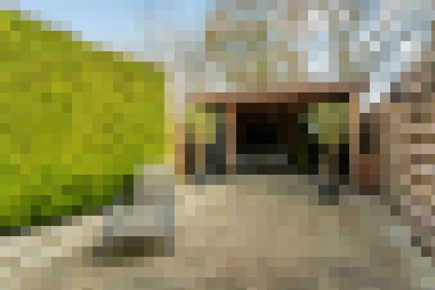 Fazantenkamp 755 Maarssen thumbnail 30