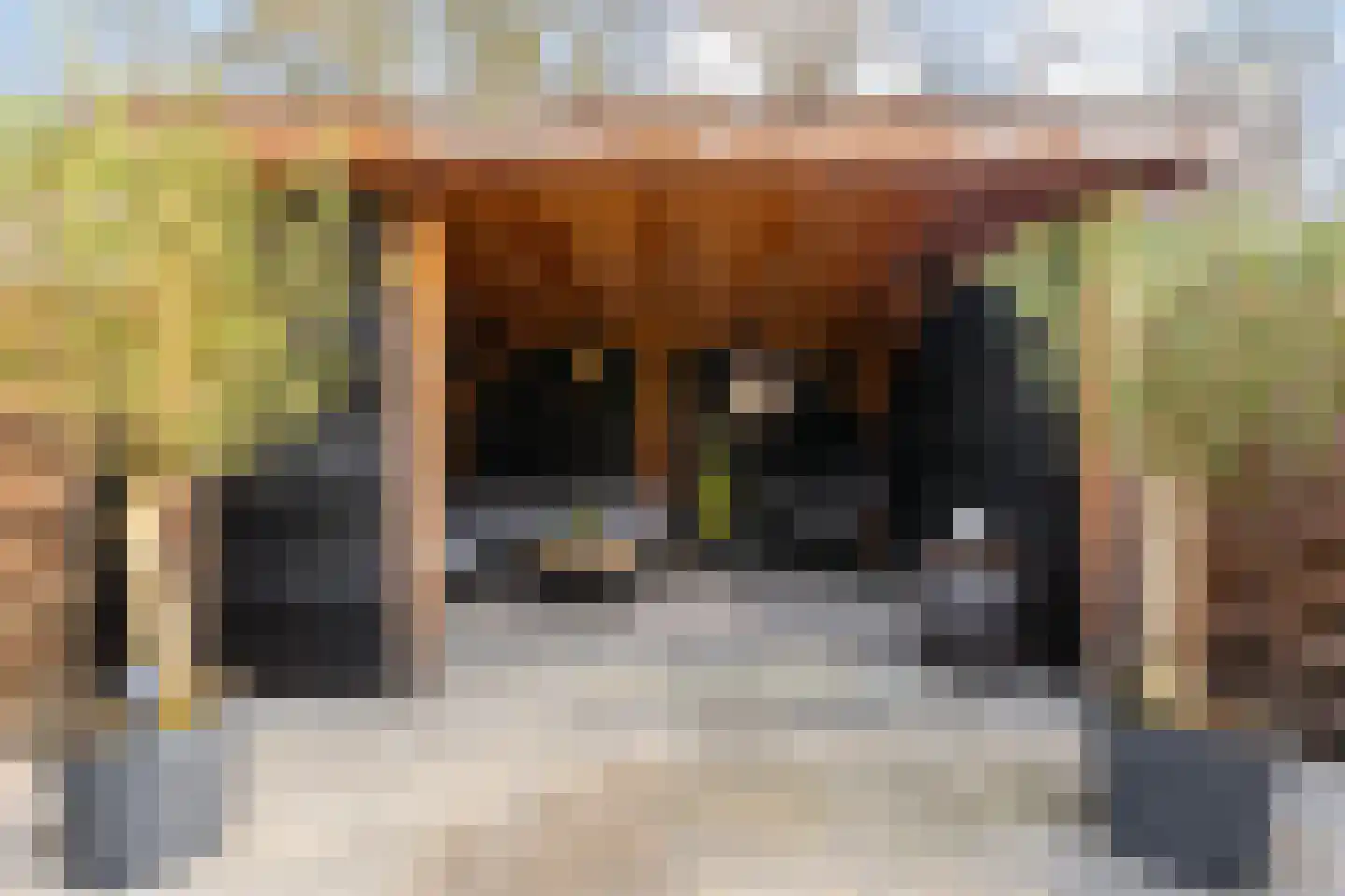 Fazantenkamp 755 Maarssen thumbnail 31