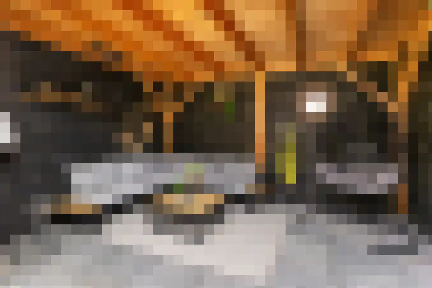 Fazantenkamp 755 Maarssen thumbnail 32