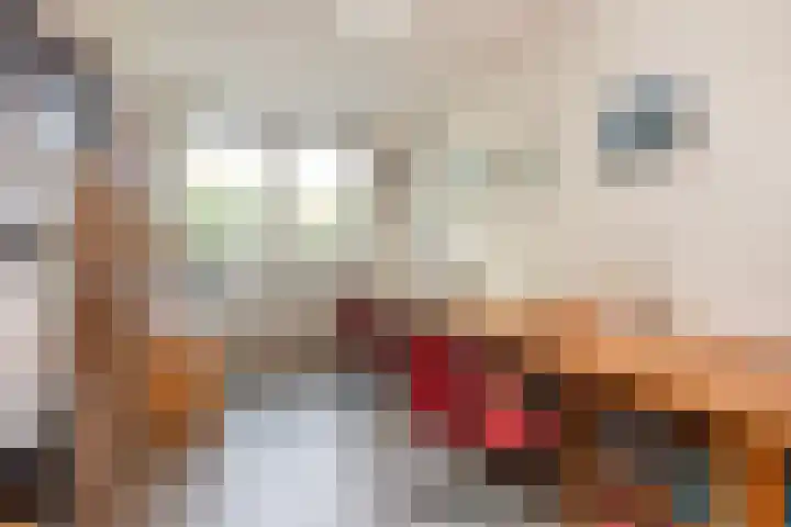 Fazantenkamp 758 Maarssen thumbnail 18