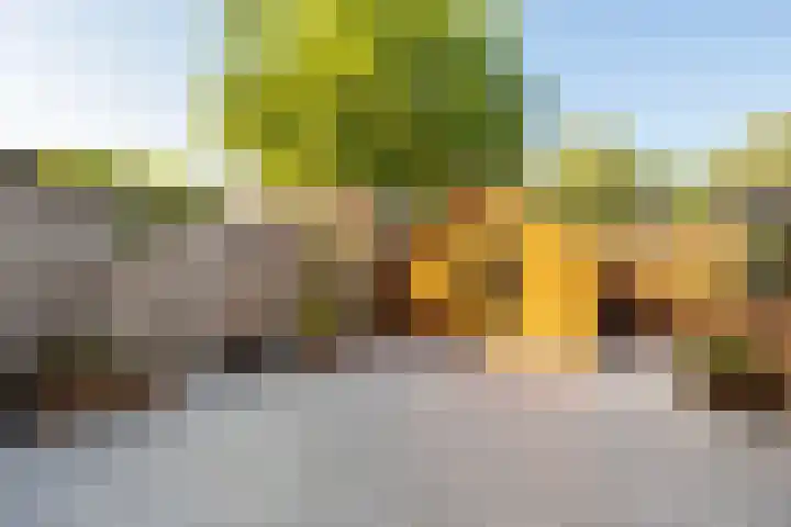 Fazantenkamp 758 Maarssen thumbnail 33