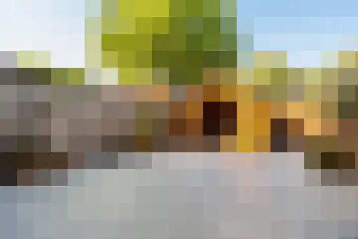 Fazantenkamp 758 Maarssen thumbnail 35
