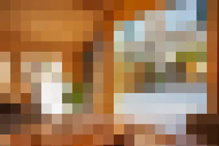 Fazantenkamp 758 Maarssen thumbnail 37