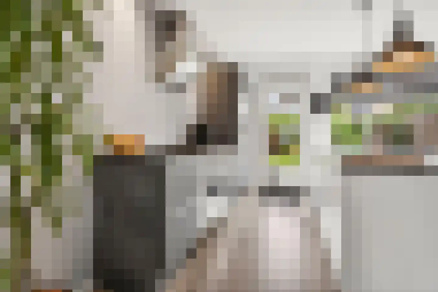 Fazantenkamp 783 Maarssen thumbnail 12
