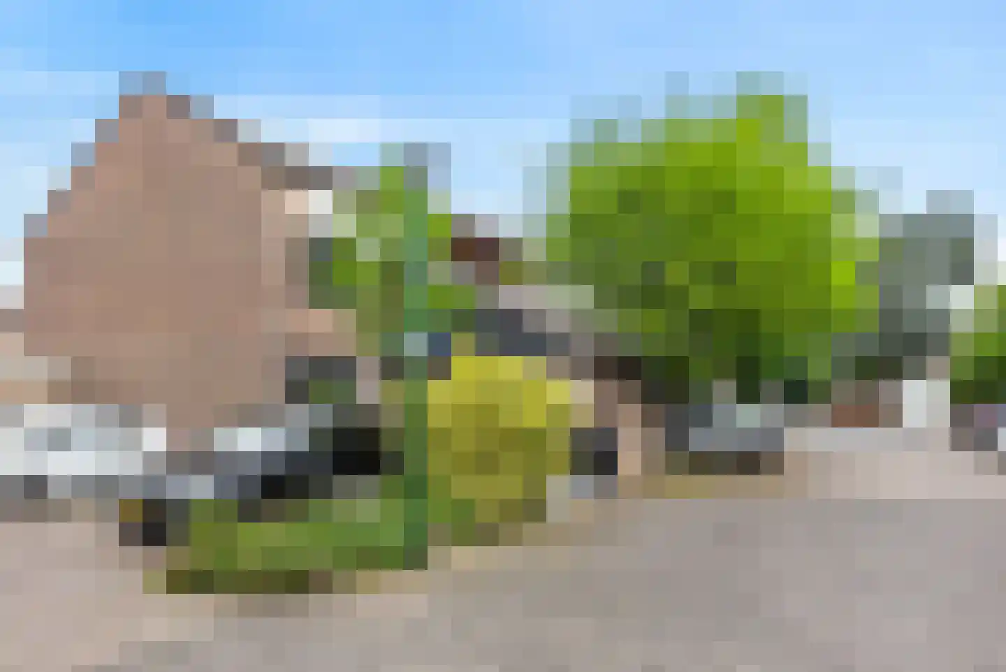 Fazantenkamp 783 Maarssen thumbnail 33