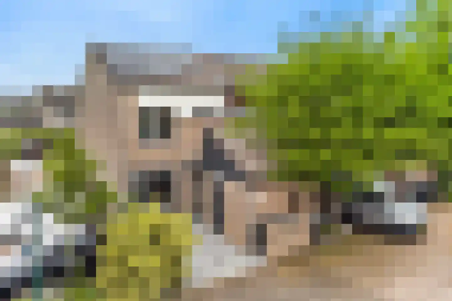 Fazantenkamp 783 Maarssen thumbnail 34