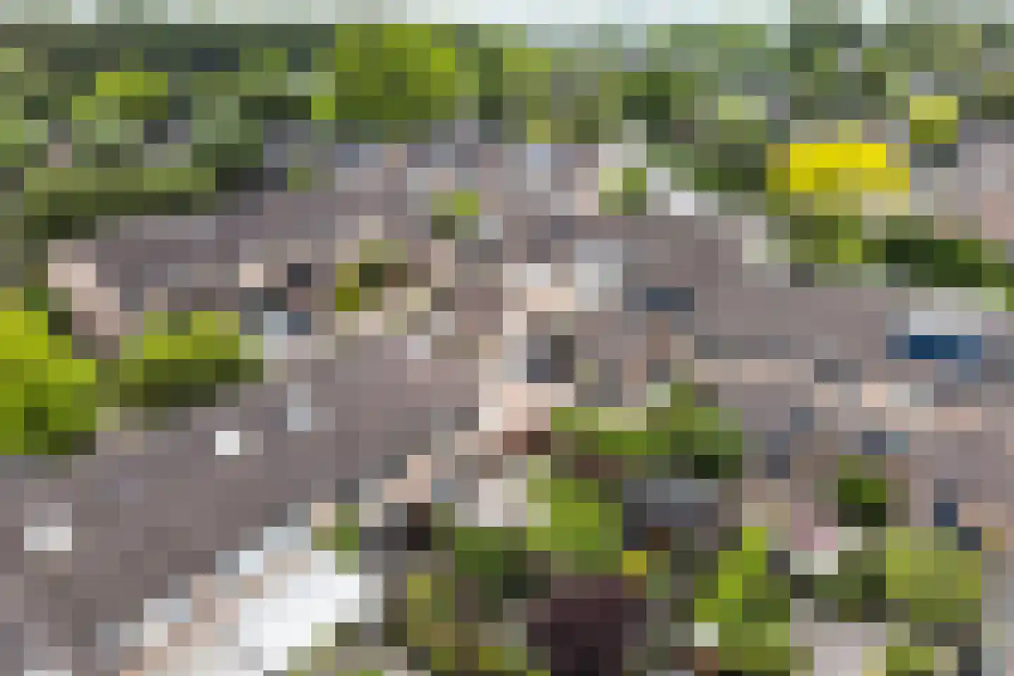 Fazantenkamp 783 Maarssen thumbnail 37