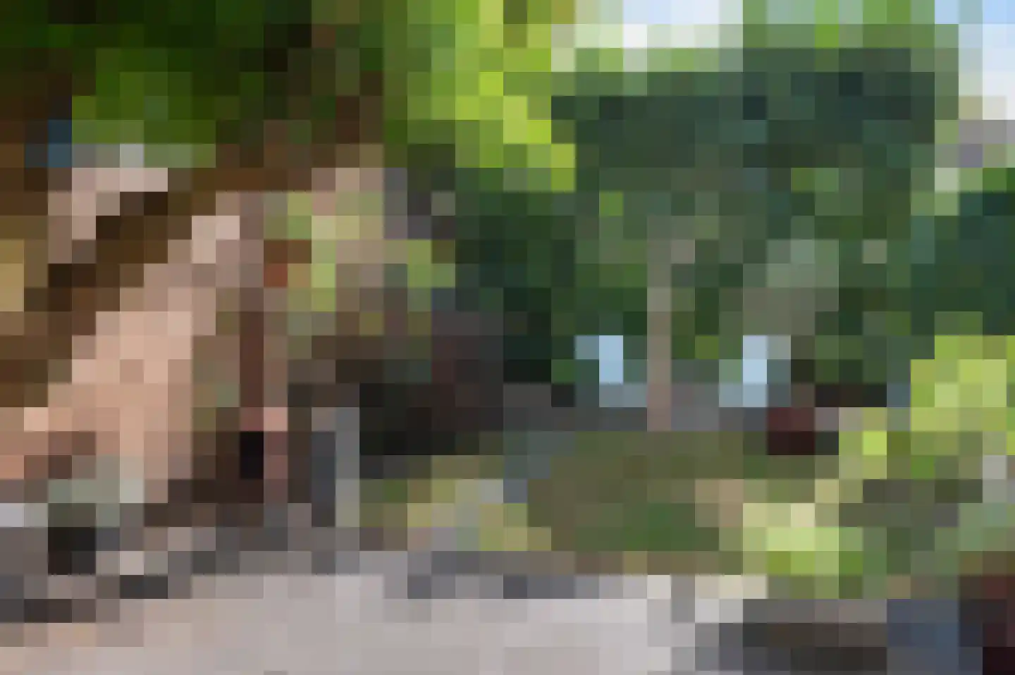 Fazantenkamp 804 Maarssen thumbnail 14