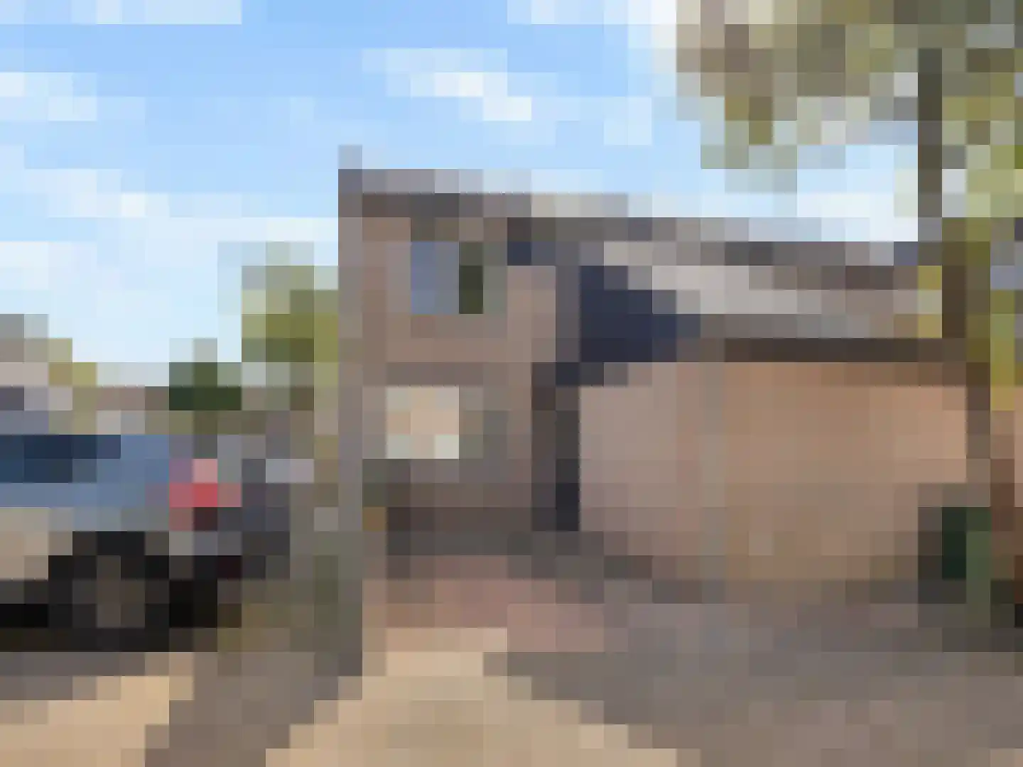 Fazantenkamp 84 Maarssen thumbnail 12