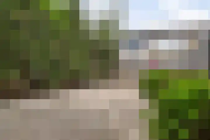 Fazantenkamp 885 Maarssen thumbnail 23