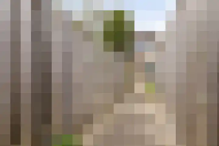 Fazantenkamp 885 Maarssen thumbnail 24