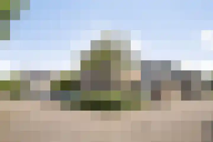 Fazantenkamp 885 Maarssen thumbnail 27
