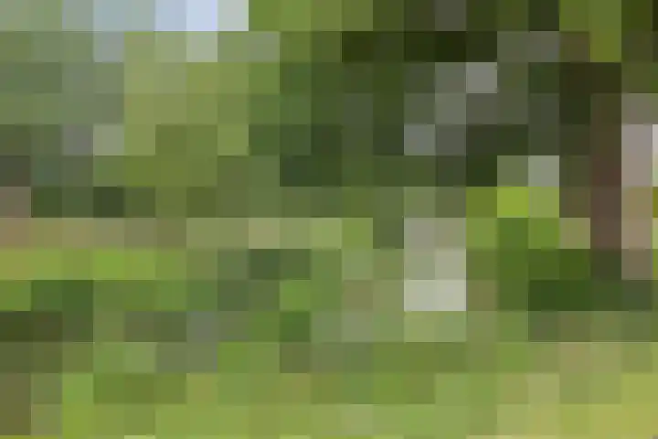 Fazantenkamp 885 Maarssen thumbnail 30