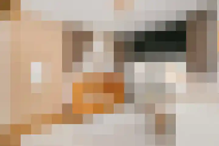Fazantenkamp 888 Maarssen thumbnail 14
