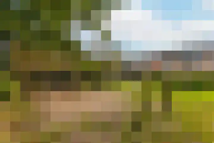 Fazantenkamp 888 Maarssen thumbnail 30
