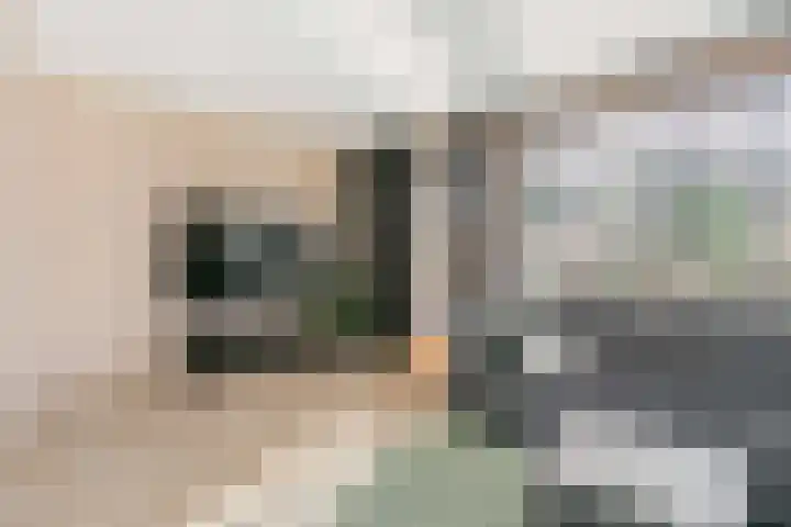 Fazantenkamp 888 Maarssen thumbnail 4