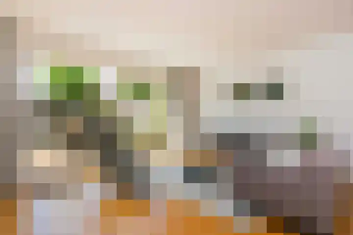 Fazantenkamp 942 Maarssen thumbnail 8
