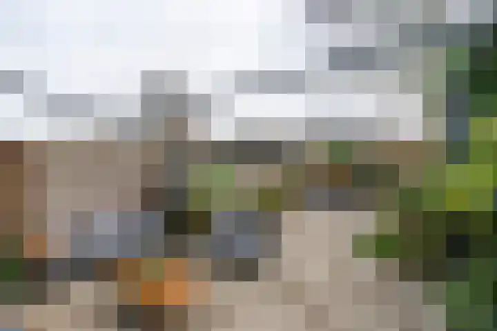 Fazantenkamp 972 Maarssen thumbnail 22