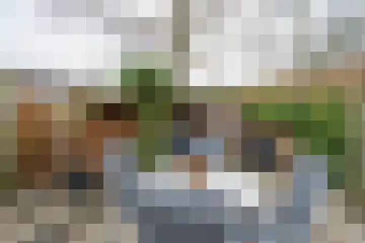 Fazantenkamp 972 Maarssen thumbnail 23
